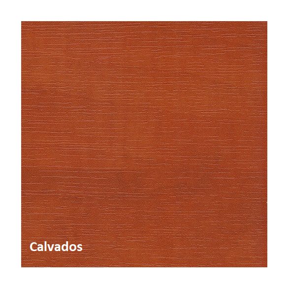 Betétes 100x50-es  íróasztal